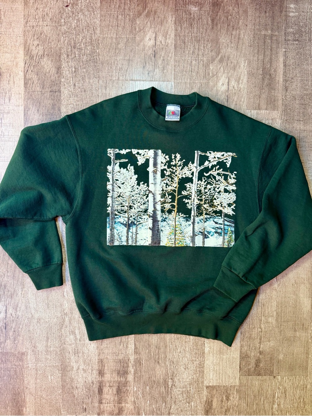 Vintage Forest Green Birch Trees Winter Graphic Sweatshirt Fruit of the Loom